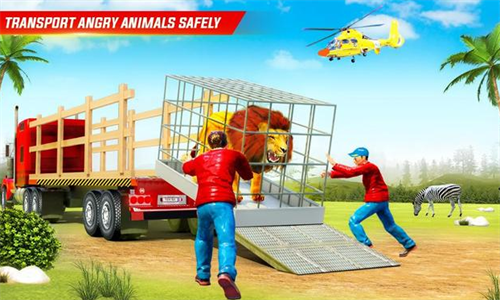 农场动物运输车(Farm Animal Transport)