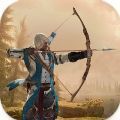 弓箭手猎杀者(Archer Assassin shooting game)