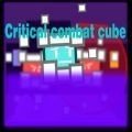 关键战斗(Critical Combat Cube)