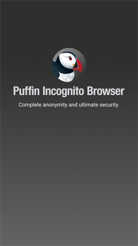 puffin浏览器安卓版