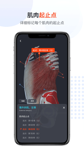 口袋人体解剖app